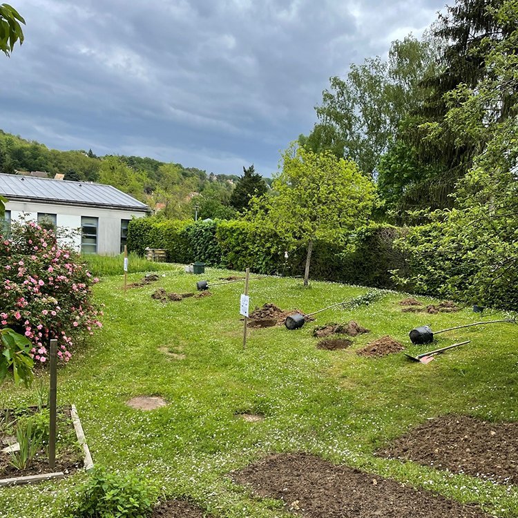  © Gingko et Paysage